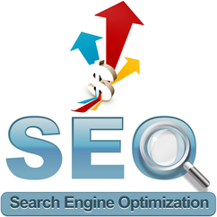 a professional Search Engine Optimization Company